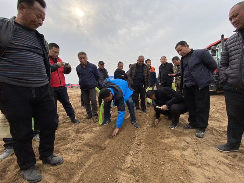 山東奧龍參加陽谷縣高性能播種機演示現場會