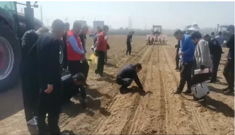 我廠高性能玉米播種機在濟南作業演示現場獲一致好評